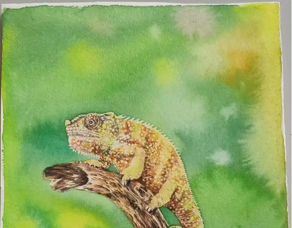 Mi a különbség a Gouache festék, az olajfesték, az akrilfesték és az akvarellfesték között?